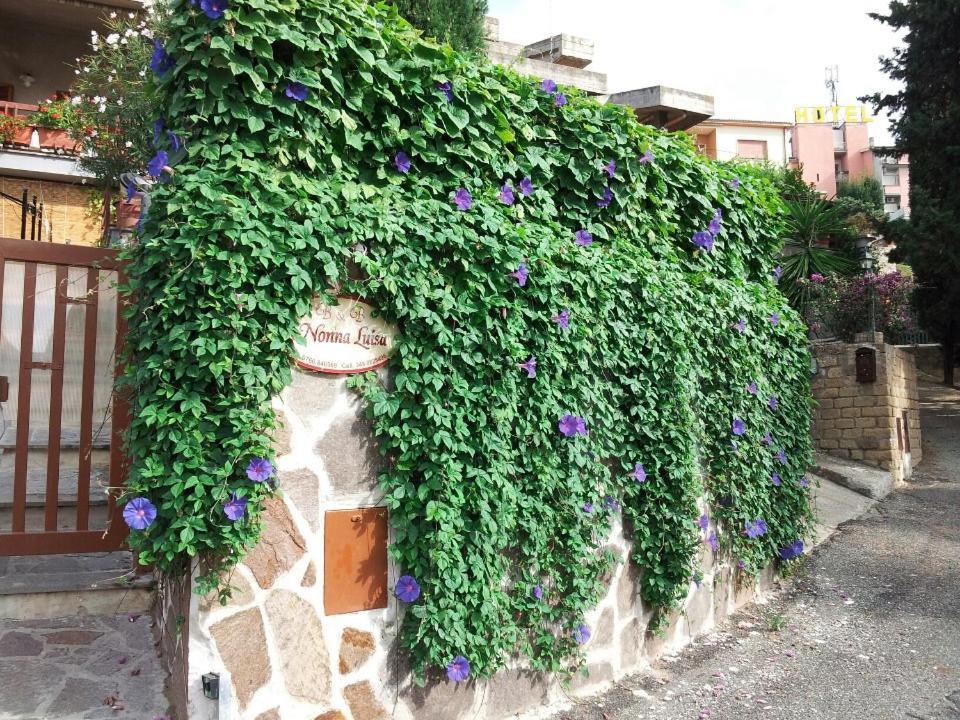 טרקיניה B&B Nonna Luisa מראה חיצוני תמונה